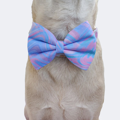 Marble Harness + Collar + Leash + Classic Bow