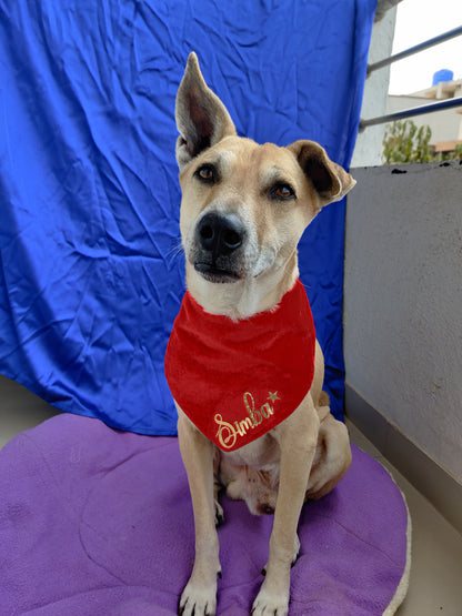 Red Velvet Bandana