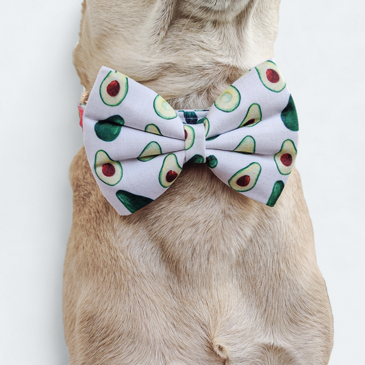 Avocado Classic Bow