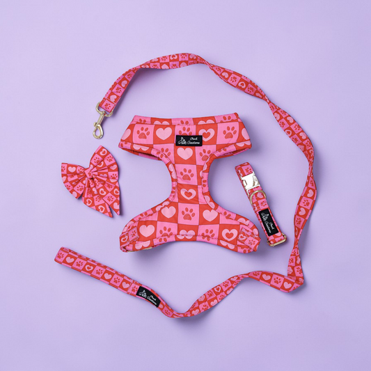 Checkmate Harness + Collar + Leash + Sailor Bow