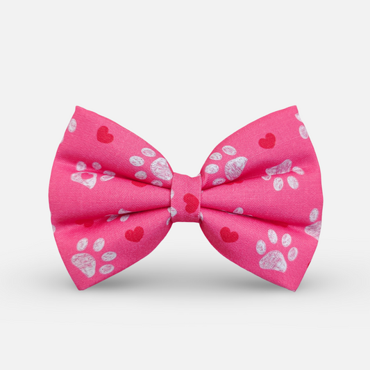 Pookie Paws Classic Bow for Dogs