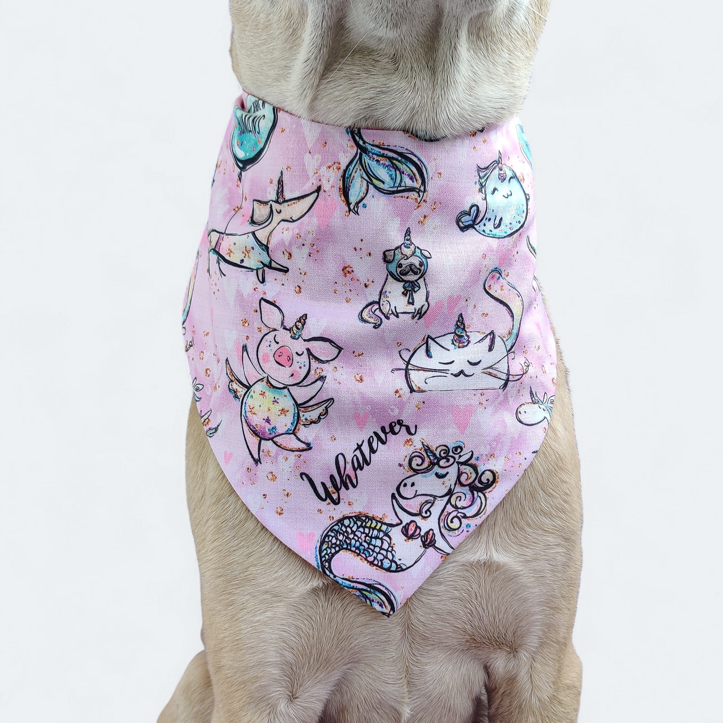 Unicorn Magic Bandana