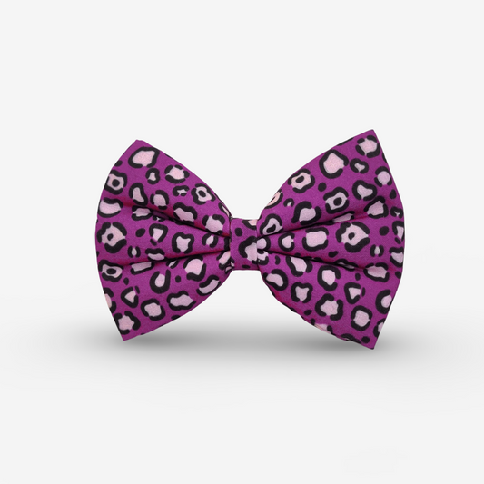 Purple Leopard Classic Bow for Dogs