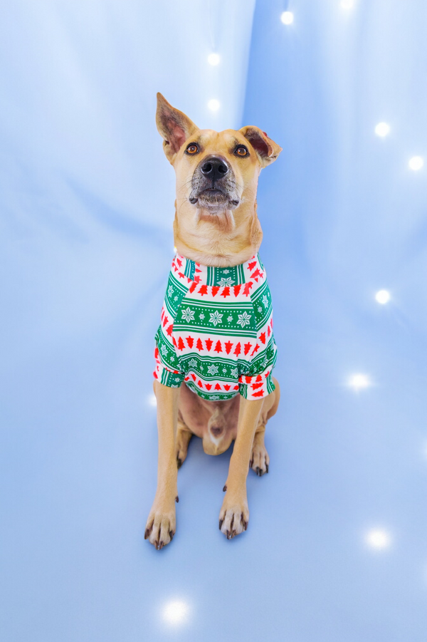 The Xmas Tree Tshirt