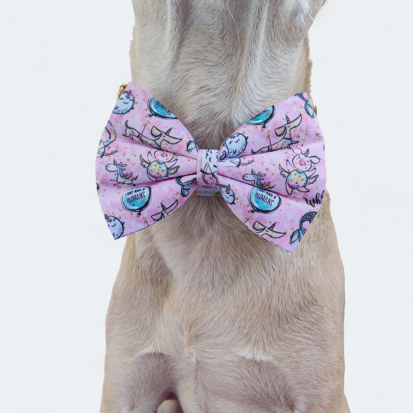 Unicorn Magic Classic Bow