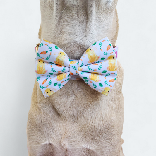Bunny & Carrot Classic Bow