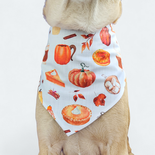 Pumpkin Spice Bandana