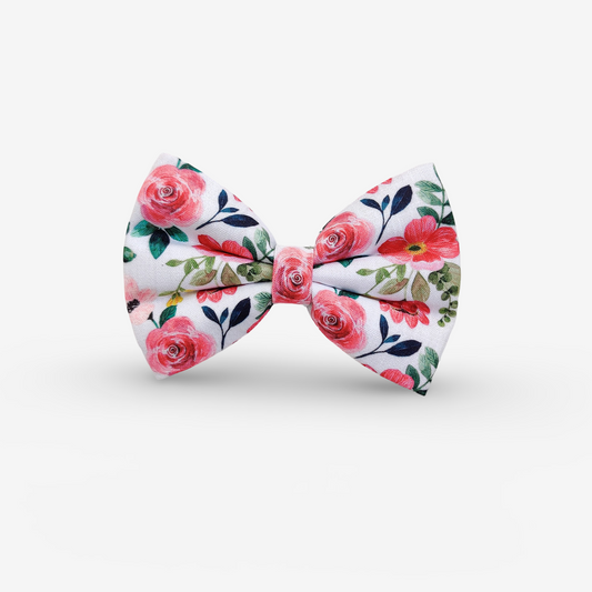 Scarlet Classic Bow for Dogs