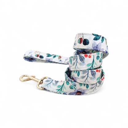 Petunia Harness + Collar + Leash + Bandana