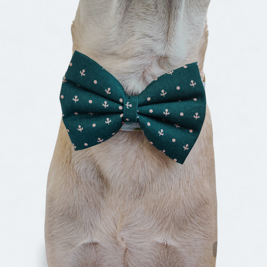 Olive Classic Bow