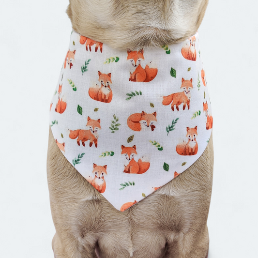 Foxy Bandana