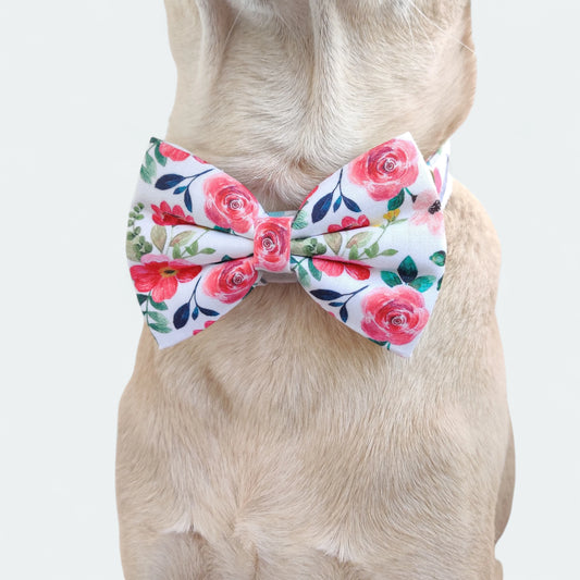 Scarlet Classic Bow for Dogs