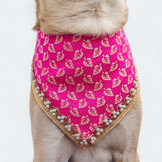 Shahi Gulal Dog Bandana