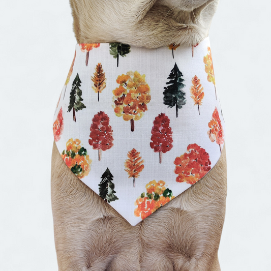 Fall trees Bandana