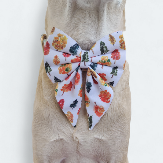 Fall trees Sailor Bow