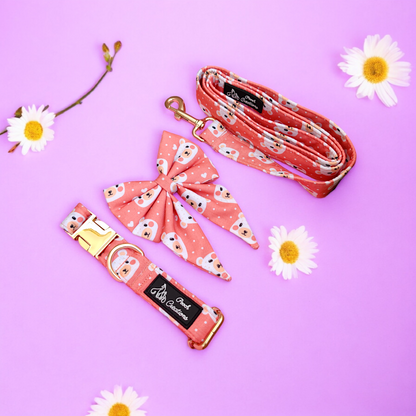 Bear-y Cute Collar + Leash + Sailor Bow