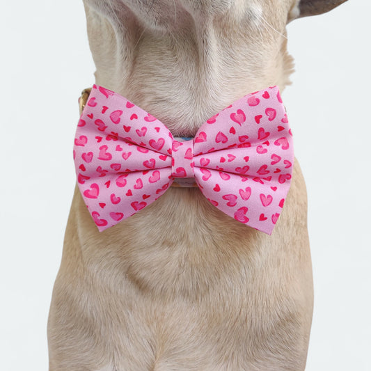 Love Leopard Classic Bow for Dogs