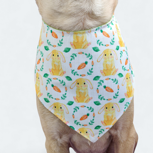 Bunny & carrot Bandana