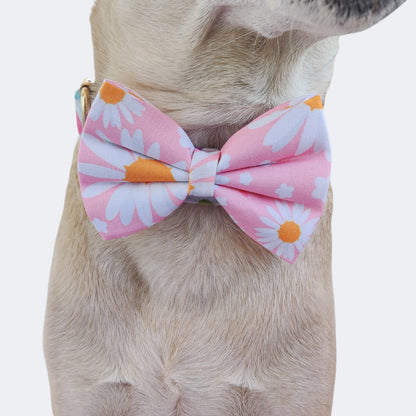 Dainty Daisy Classic Bow