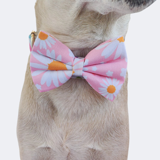Dainty Daisy Classic Bow