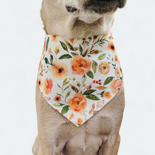 Orange Rose Bandana