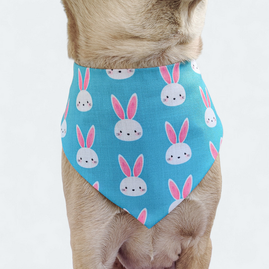Easter Bunny (Blue) Bandana
