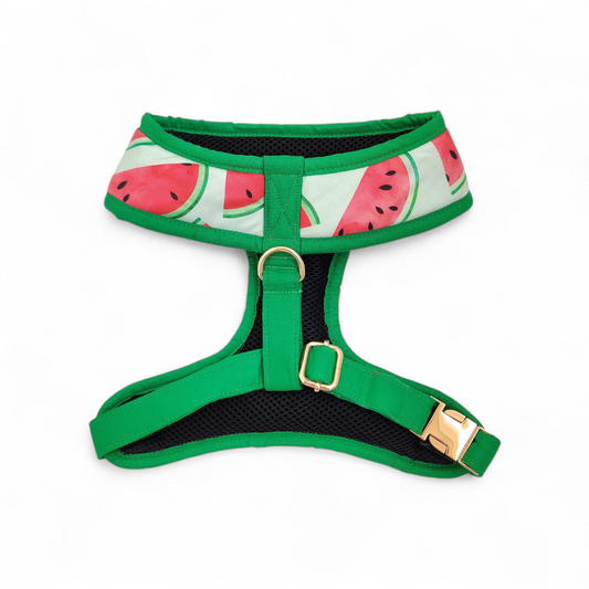 Watermelon sugar Harness