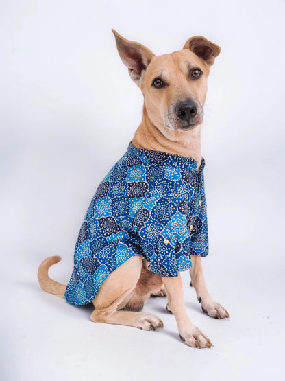 Blue Bandhani Kurta