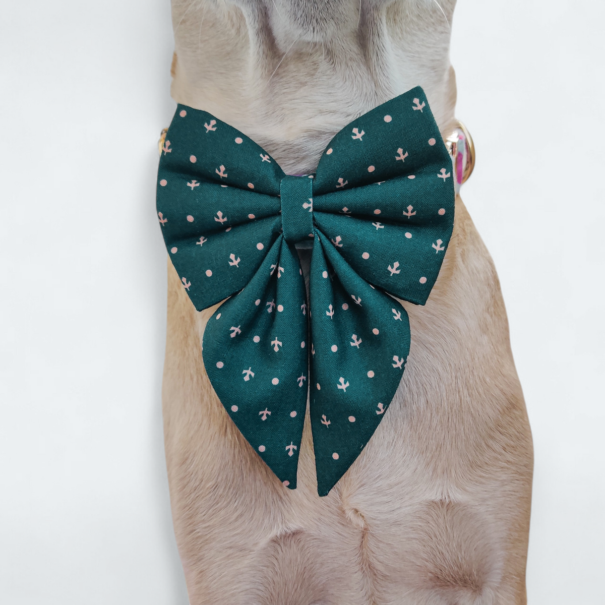 Olive Sailor Bow