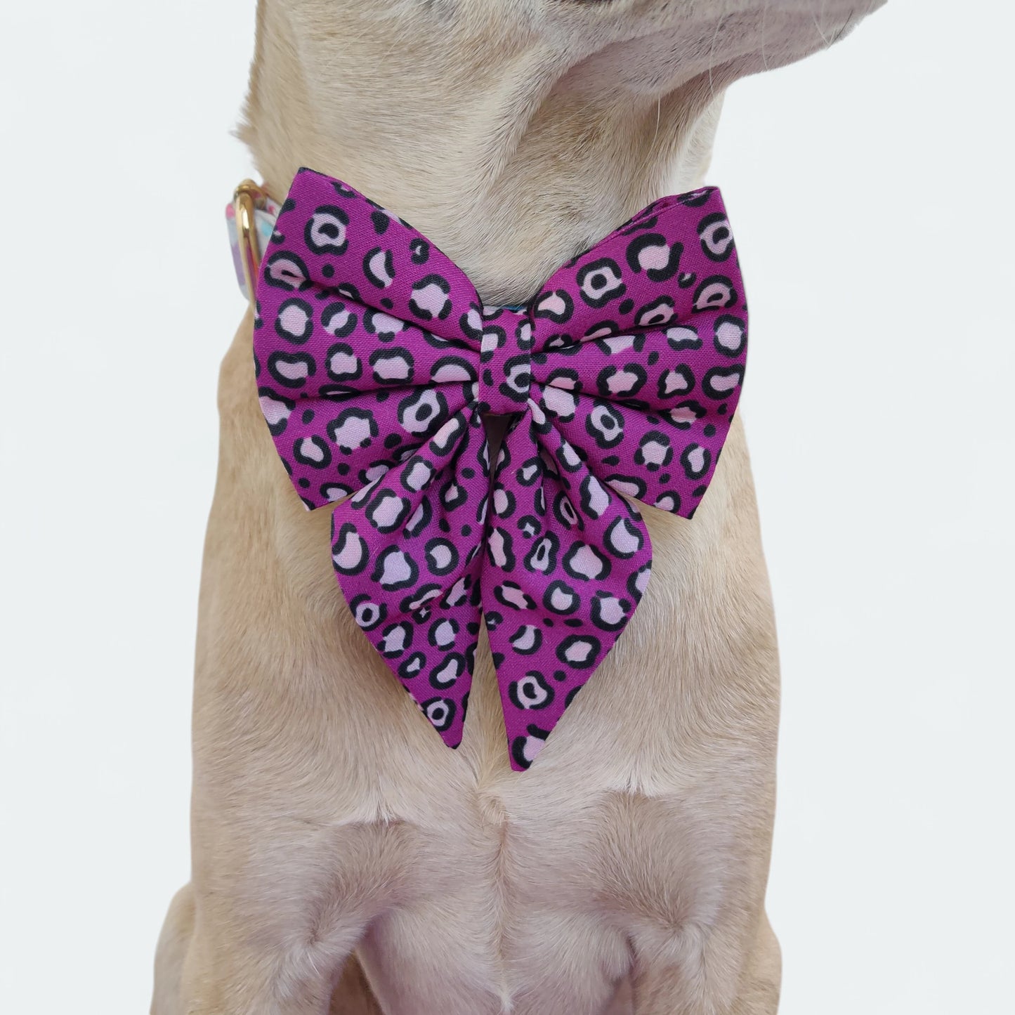 Purple Leopard Sailor Bow for Dogs