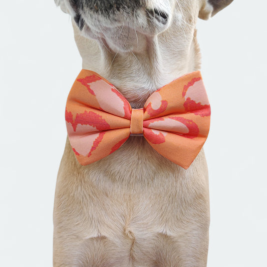 Fire Heart Classic Bow for Dogs