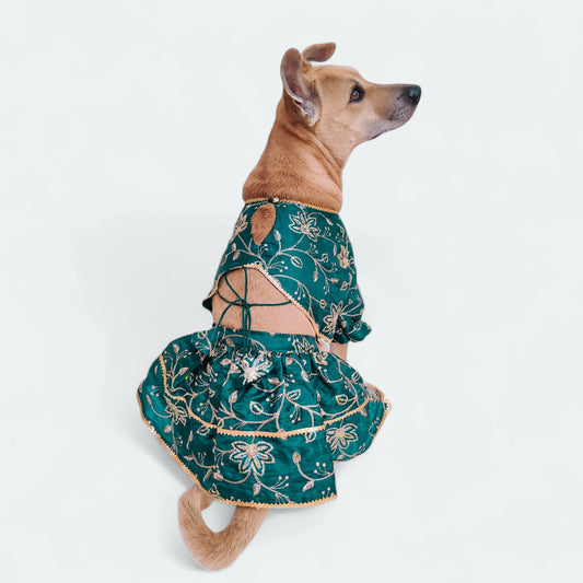 Morni Lehenga