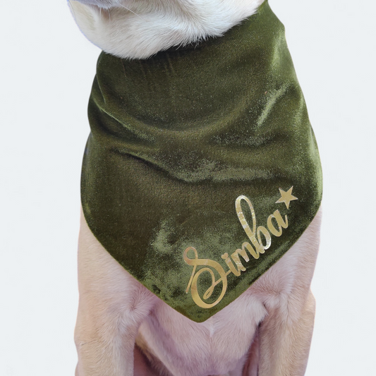 Heena Velvet Bandana