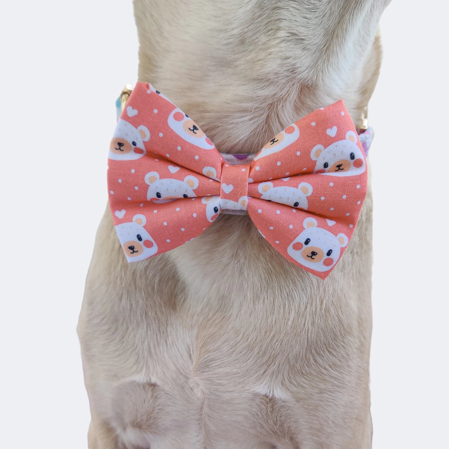 Bear-y Cute Classic Bow