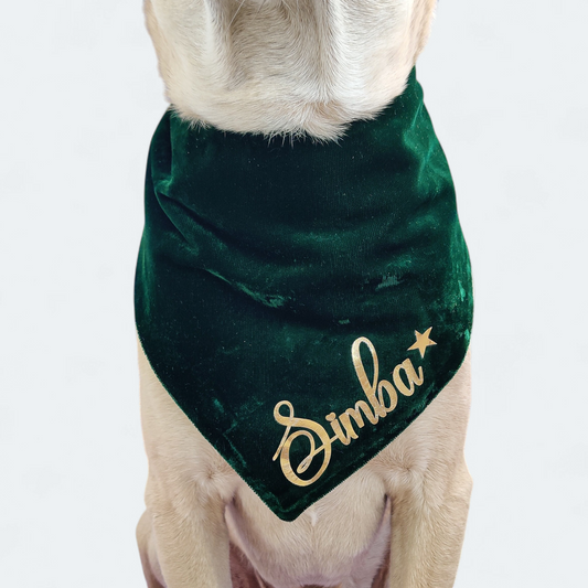 Green Velvet Bandana