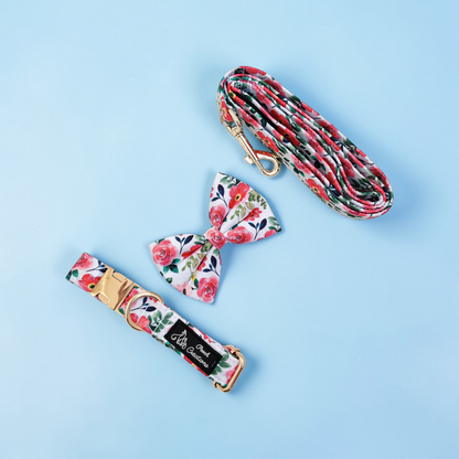 Scarlet Collar + Leash + Classic Bow for Dogs