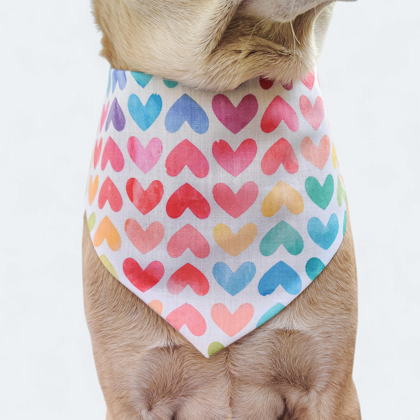 Sweet Heart Bandana