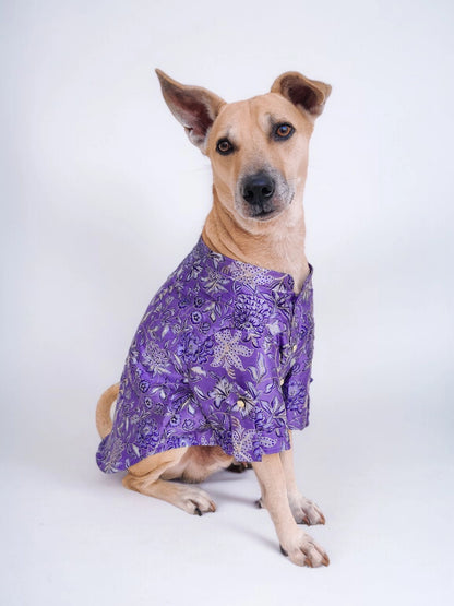 Lavender Nawab Kurta