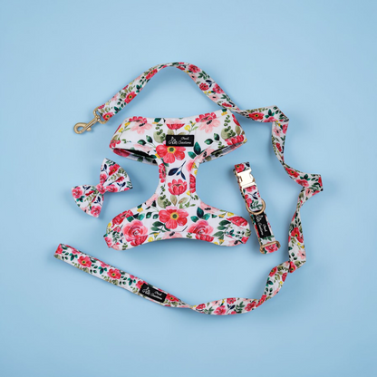 Scarlet Harness + Collar + Leash + Classic Bow