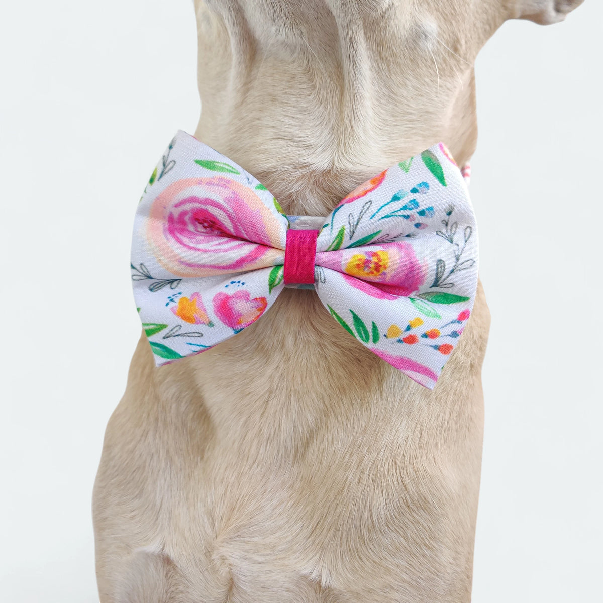 Rosie Classic Bow for Dogs