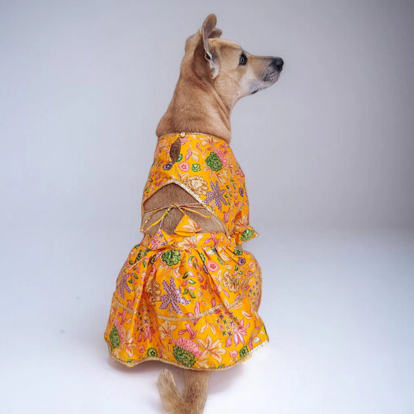 Chamak Chameli Lehenga