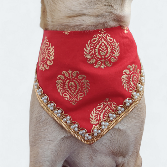 Laal Tajdaar Dog Bandana