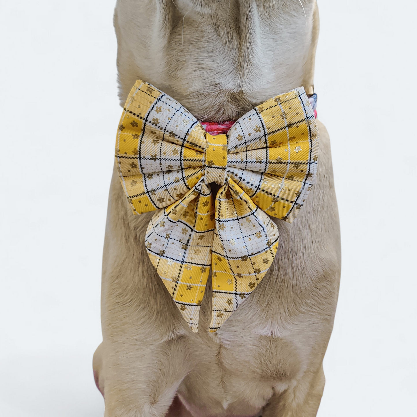 Morning Star Sailor Bow for Dogs