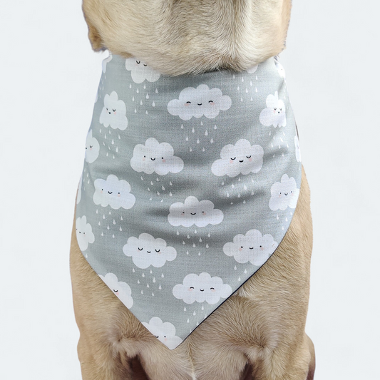 First Rain Bandana for Dogs