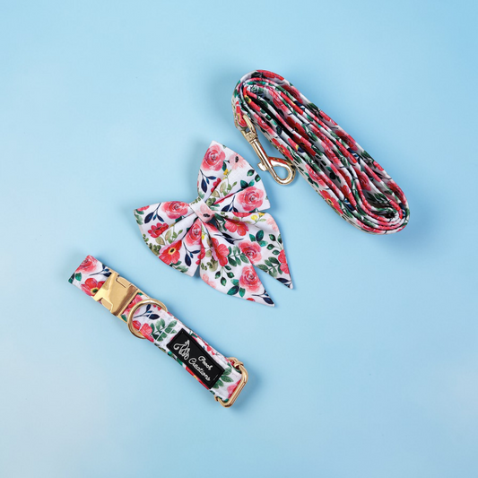 Scarlet Collar + Leash + Sailor Bow for Dogs