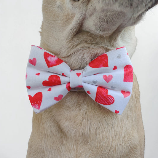 Cupid Classic Bow for Dogs