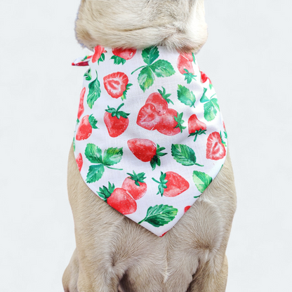 Sweet Strawberry Bandana