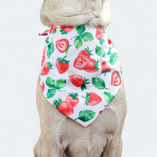 Sweet Strawberry Bandana
