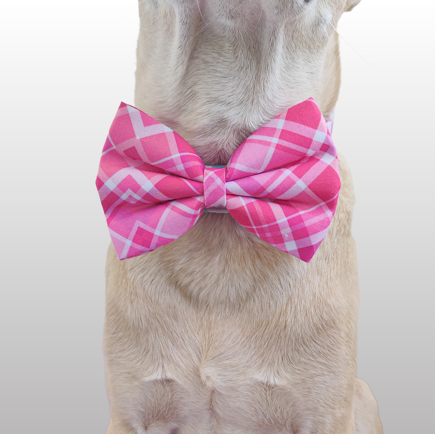 Valentine Plaid Classic Bow for Dogs