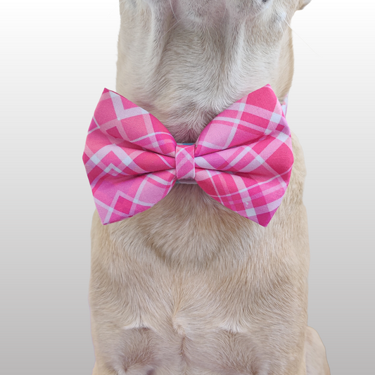 Valentine Plaid Classic Bow for Dogs